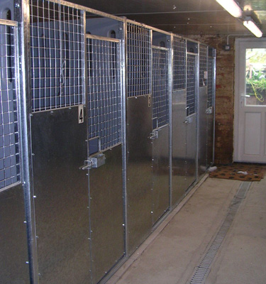 Luxury deals boarding kennels